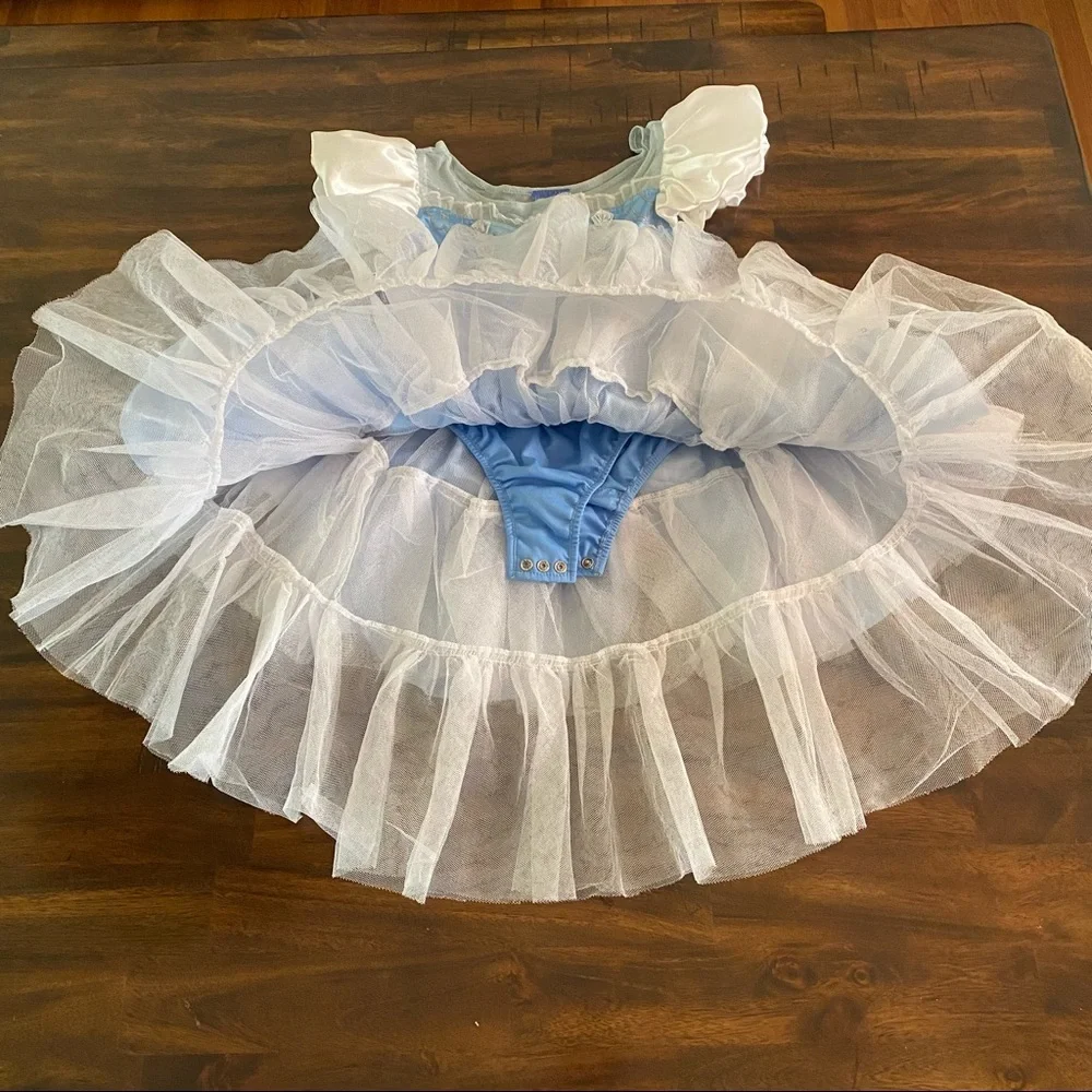Disney Cinderella Costume